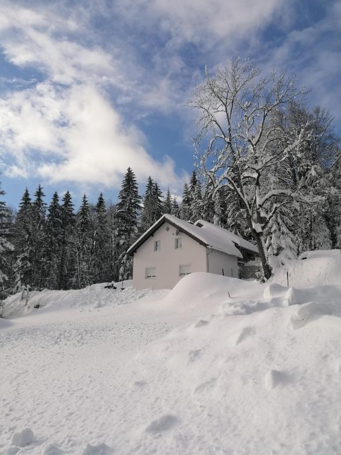 Ferienhaus Ploeckenstein Schwarzenberg am Bohmerwald Exteriér fotografie