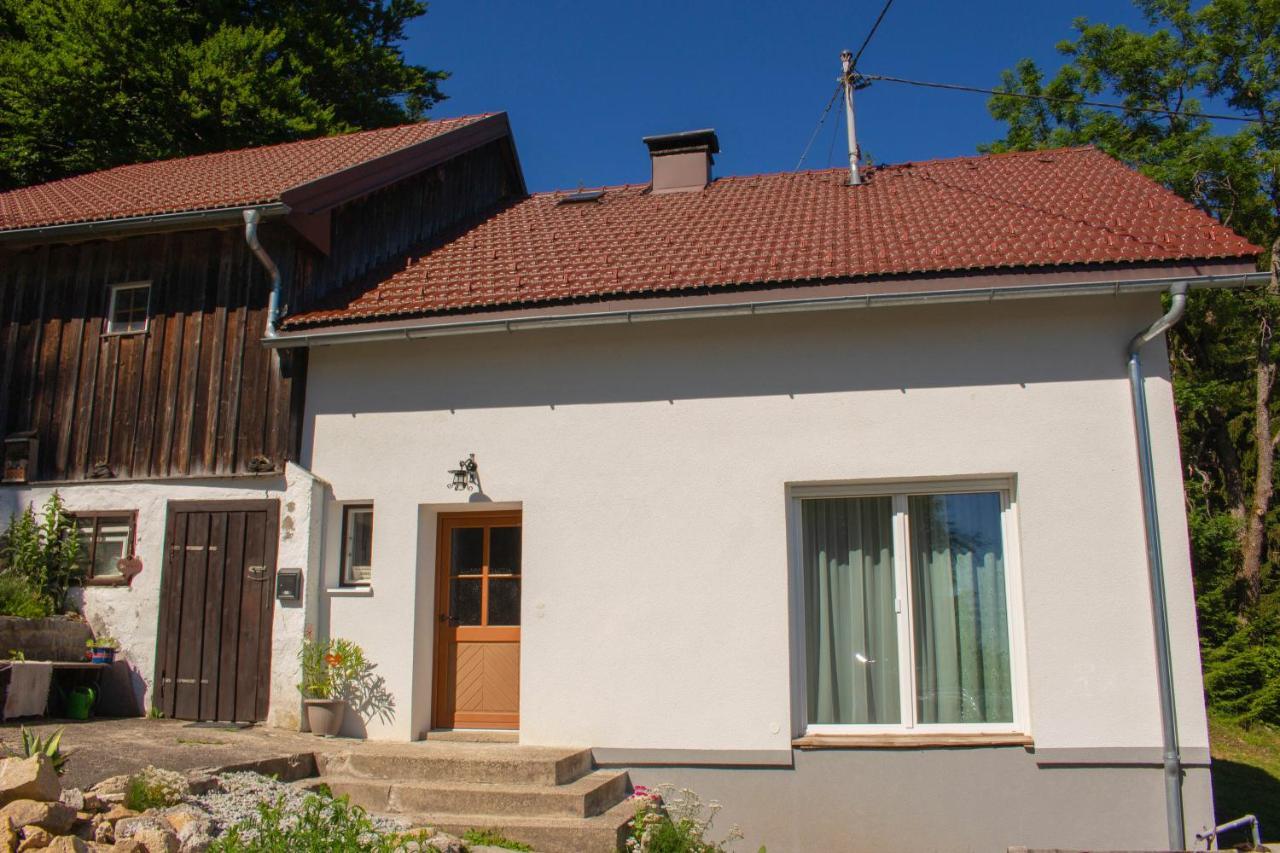 Ferienhaus Ploeckenstein Schwarzenberg am Bohmerwald Exteriér fotografie